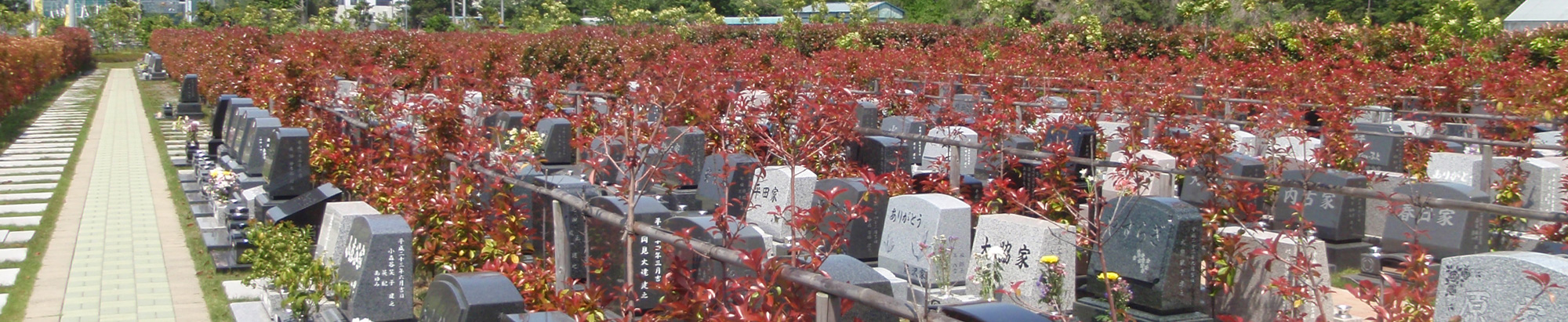 芝生墓所